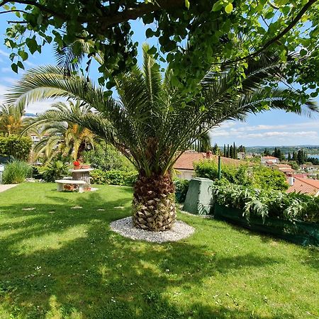 Apartment With Seaview And Garden For 6 ポルトローシュ エクステリア 写真