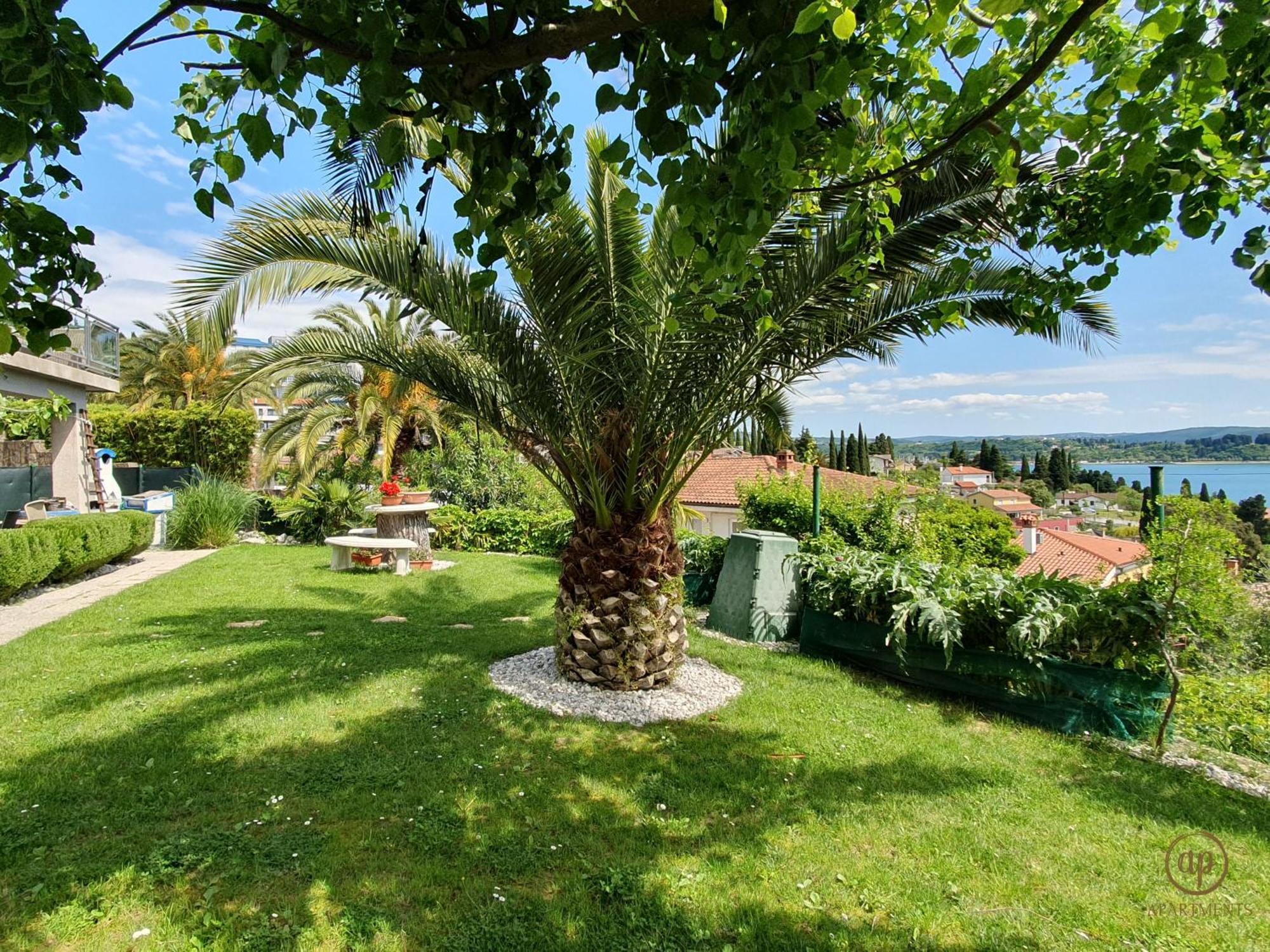 Apartment With Seaview And Garden For 6 ポルトローシュ エクステリア 写真